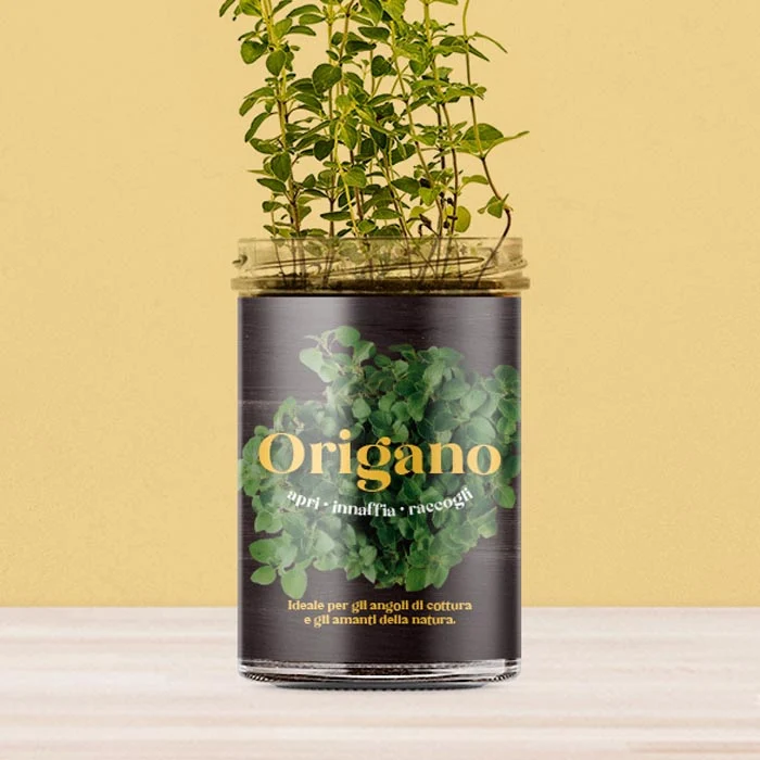 ORTO CUCINA - ORIGANO