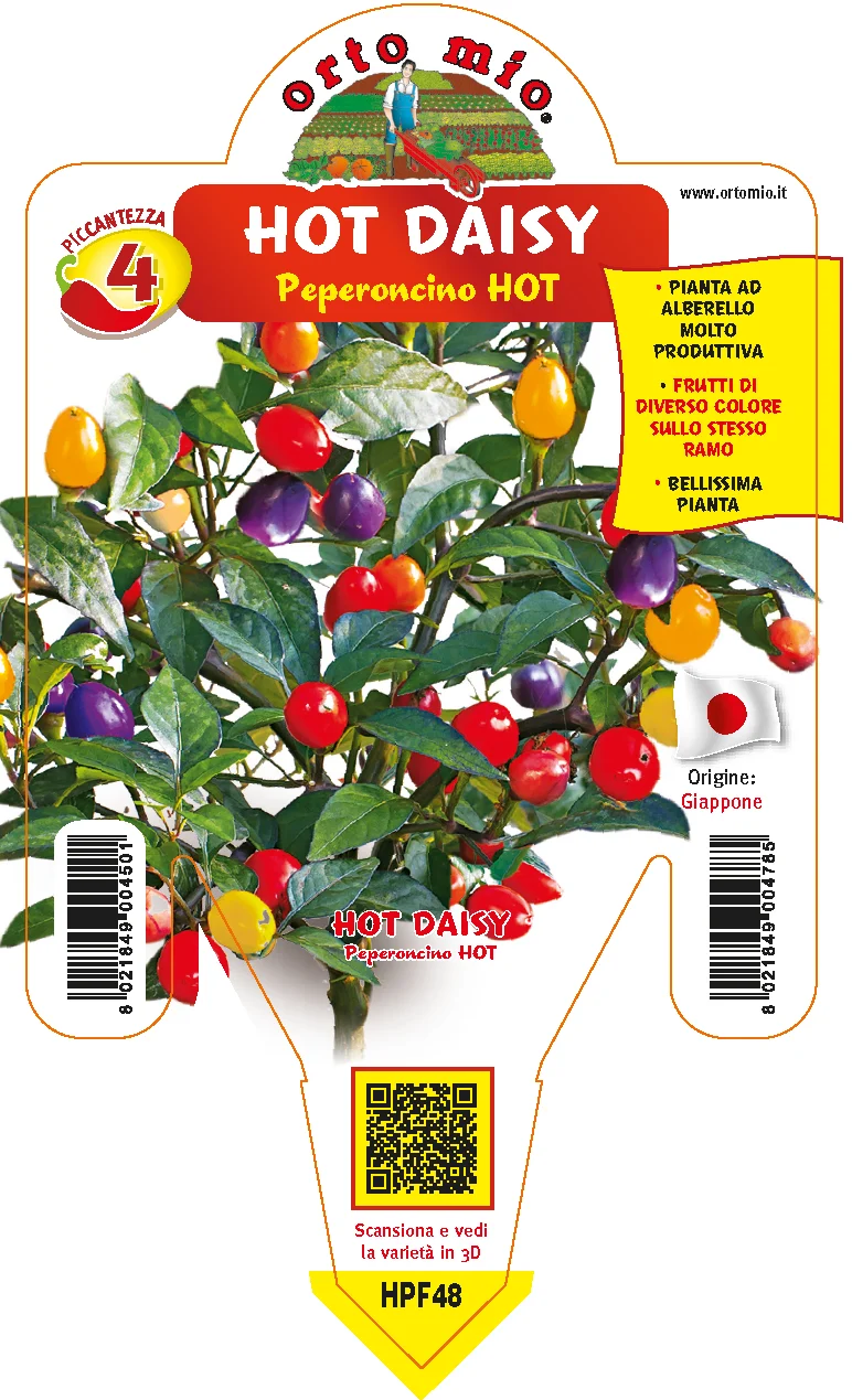PIANTA DI PEPERONCINO HOT DAISY CAP1546 (IN VASO Ø 14CM)