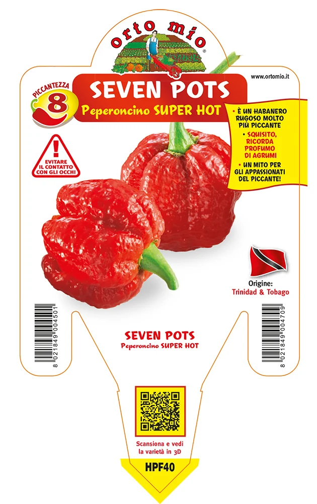 PIANTA DI PEPERONCINO HOT VIOLETTO O FUOCO NERO (IN VASO Ø 14CM)