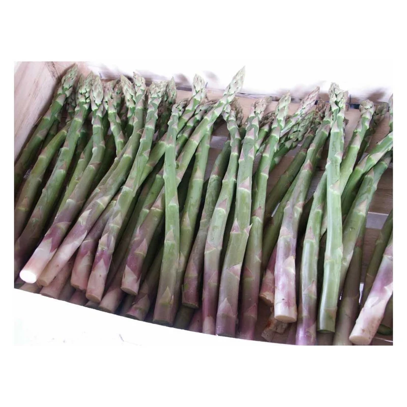 ASPARAGO VERDE VERTE 10 ZAMPE PZ
