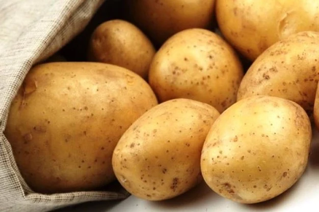 PATATE LONGEVA DA SEMINARE (CONFEZIONE DA 1.5KG)