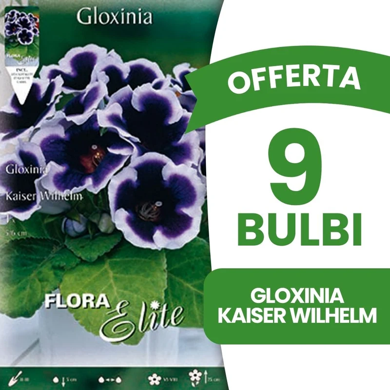 OFFERTA 9 BULBI GLOXINIA KAISER WILHELM