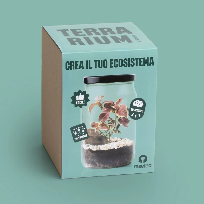 Resetea, Terrarium kit ecosistema in barattolo, 16×21,5 cm