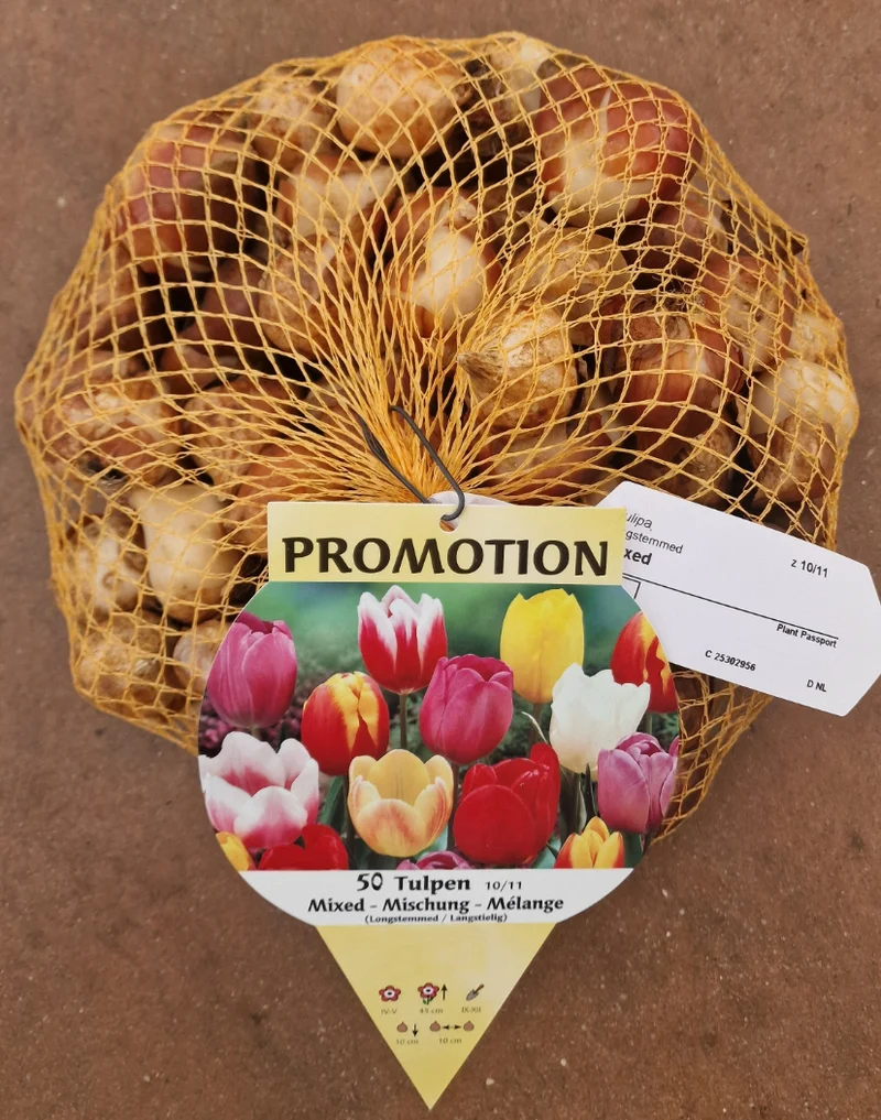 OFFERTA 50 TULIPANI MIX COLORI