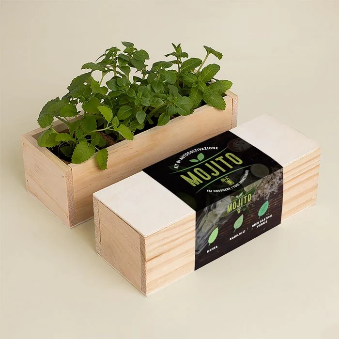 KIT AUTOCOLTIVAZIONE MOJITO