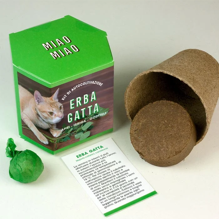 KIT AUTOCOLTIVAZIONE ERBA GATTA