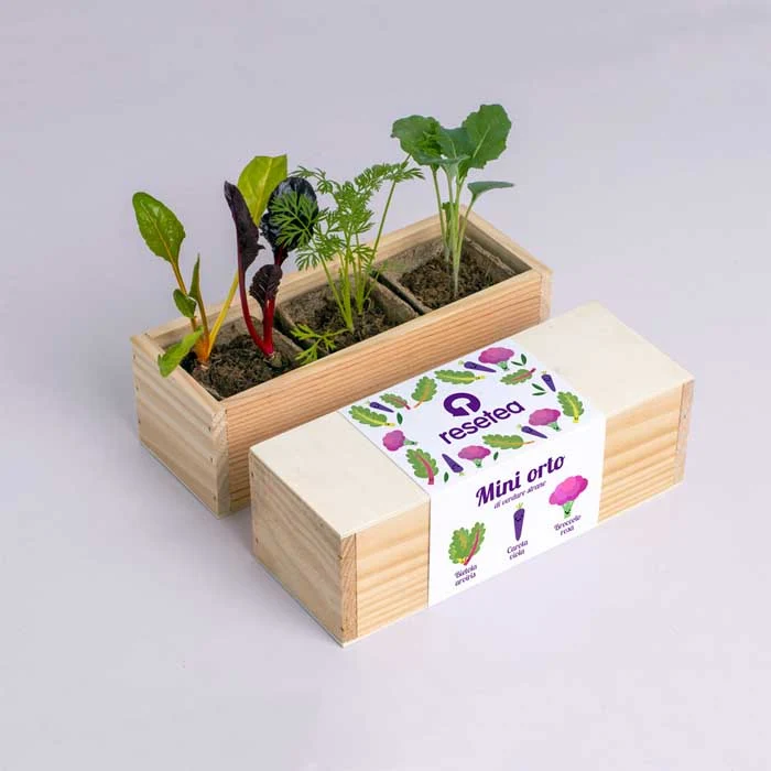 MINI ORTO - VERDURE STRANE