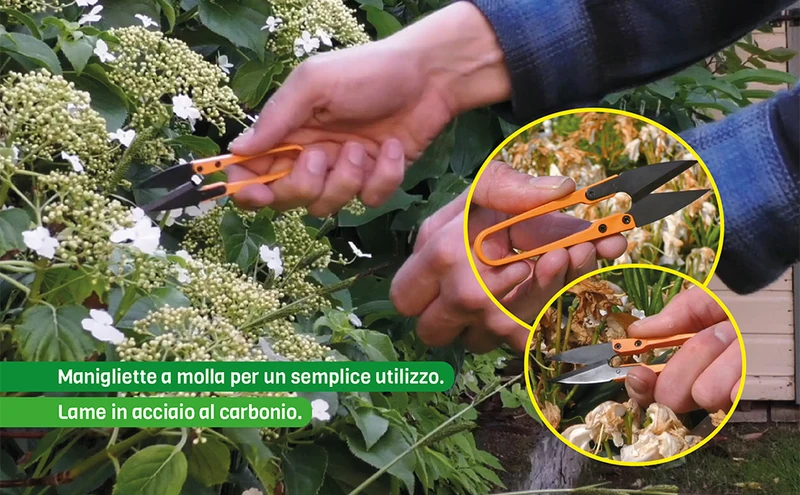 FORBICI PICCOLE PER GIARDINAGGIO - ZAC