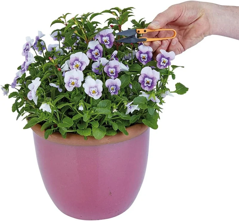 FORBICI PICCOLE PER GIARDINAGGIO - ZAC
