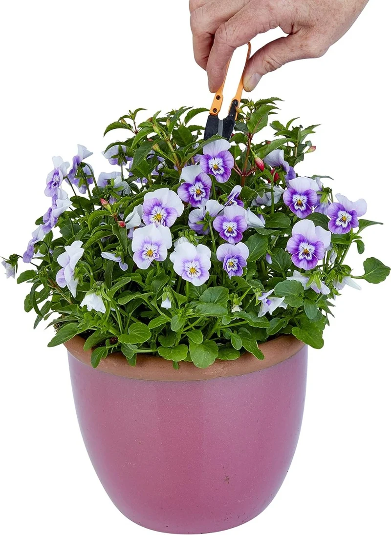 FORBICI PICCOLE PER GIARDINAGGIO - ZAC