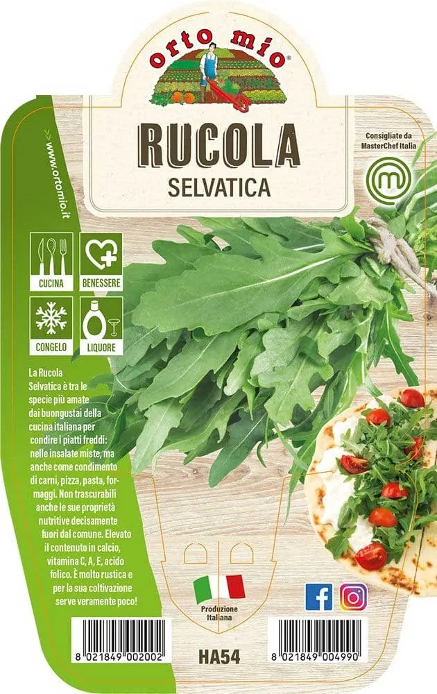 RUCOLA SELVATICA IN VASO 14CM