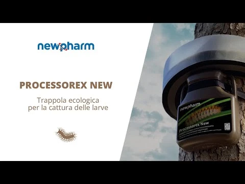 TRAPPOLA PER LA CATTURA DELLE LARVE - PROCESSOREX NEW XL